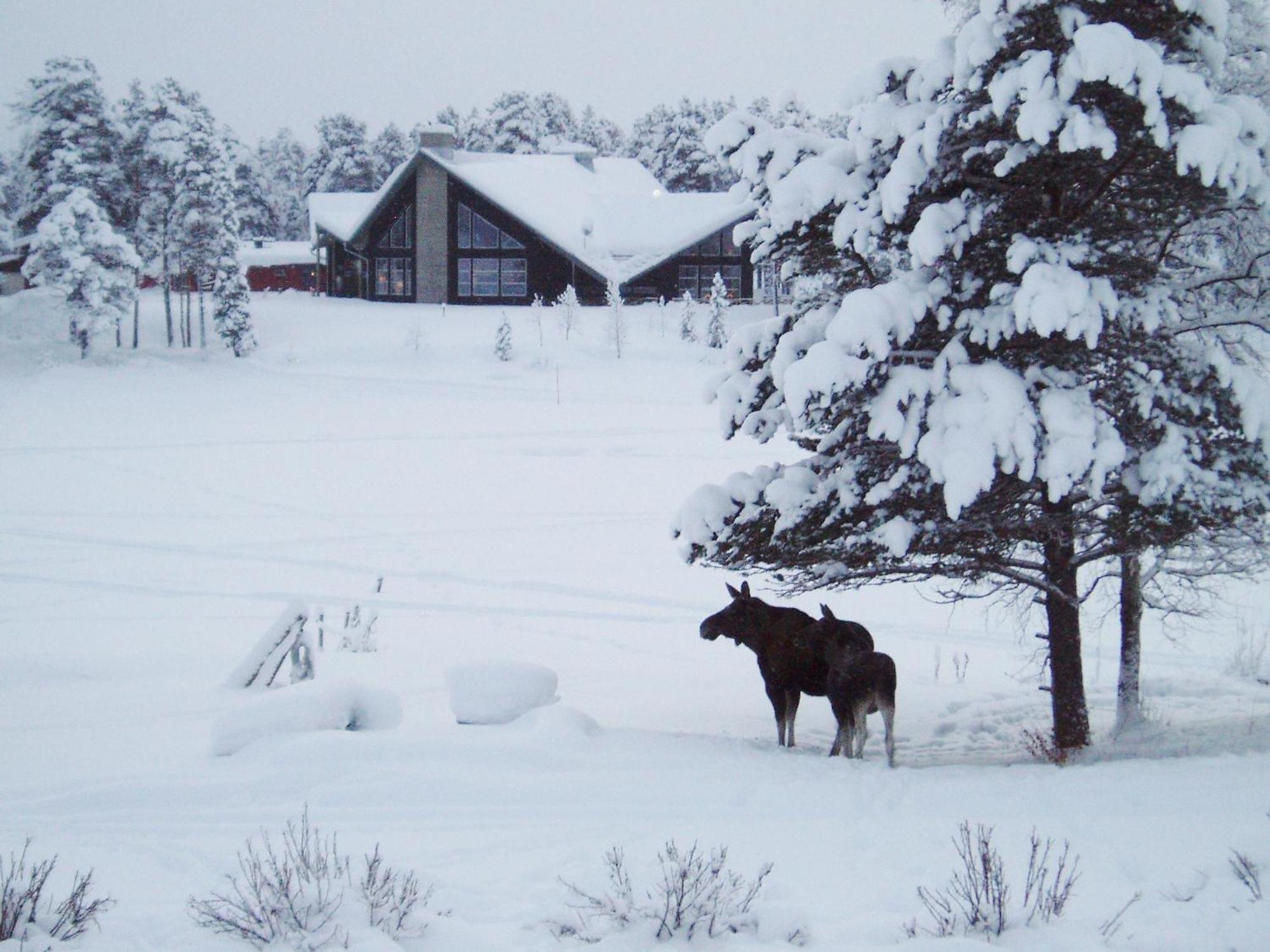 Arrenjarka Mountain Lodge Kvikkjokk Екстериор снимка